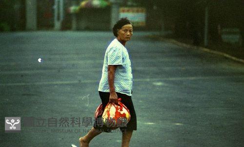 1950至2006年臺灣常民生活藏品圖，第1張