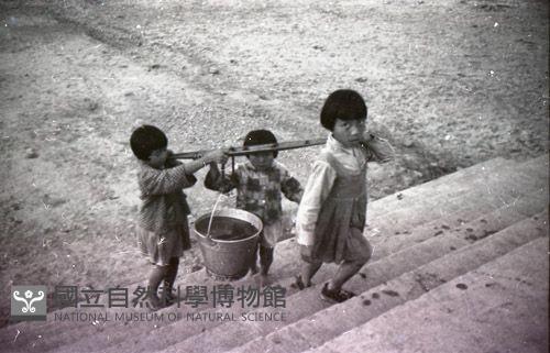 1950至2006年臺灣常民生活藏品圖，第1張