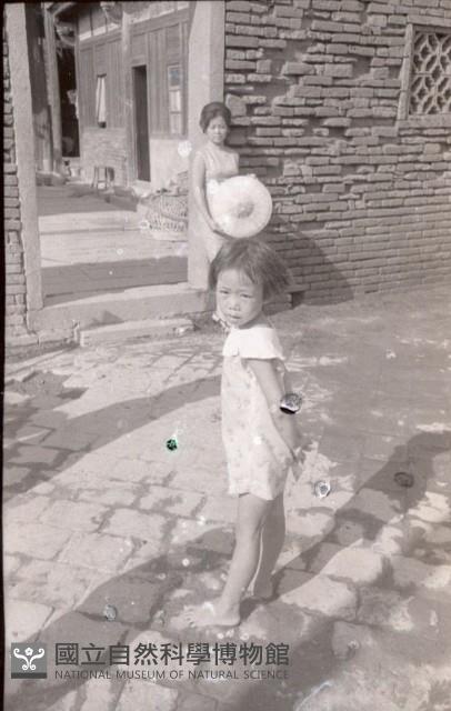 1950至2006年臺灣常民生活藏品圖，第1張