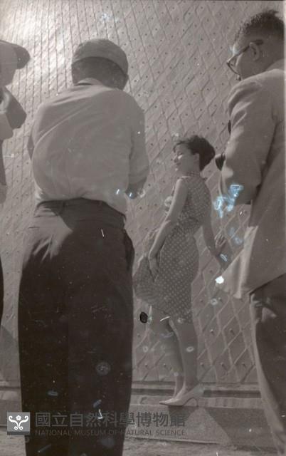 1950至2006年臺灣常民生活藏品圖，第1張