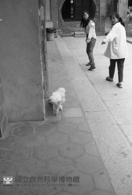 1950至2006年臺灣常民生活藏品圖，第1張