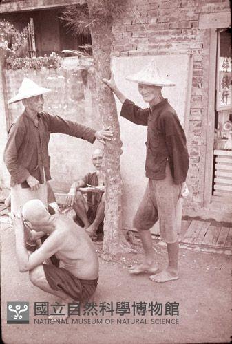 1950至2006年臺灣常民生活藏品圖，第1張