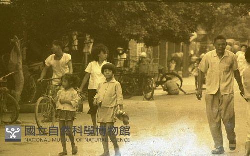 1950至2006年臺灣常民生活藏品圖，第1張