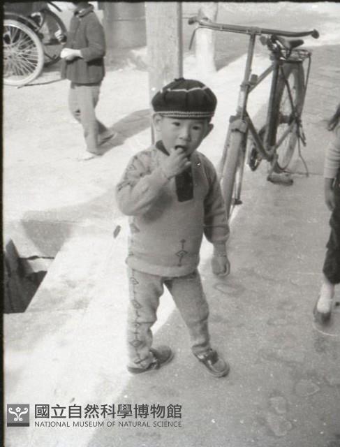 1950至2006年台灣常民生活藏品圖，第1張