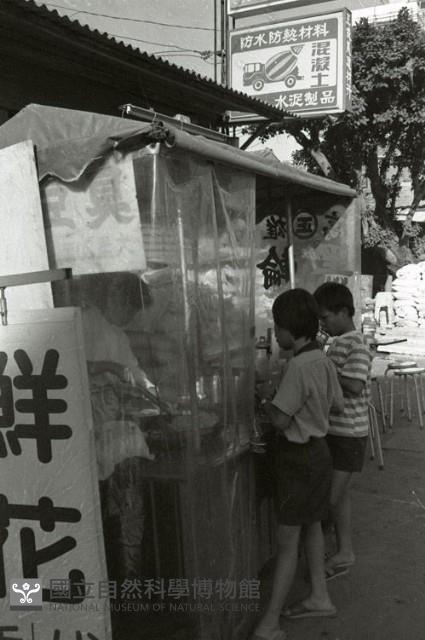 1950至2006年臺灣常民生活藏品圖，第1張