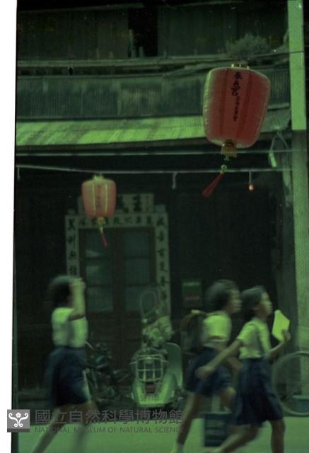 1950至2006年臺灣常民生活藏品圖，第1張
