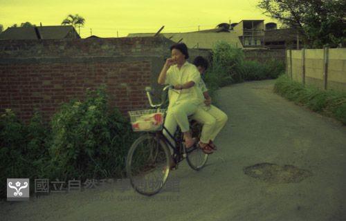 1950至2006年臺灣常民生活藏品圖，第1張