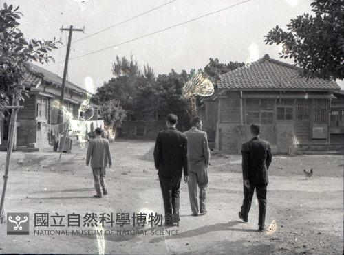 1950至2006年臺灣常民生活藏品圖，第1張