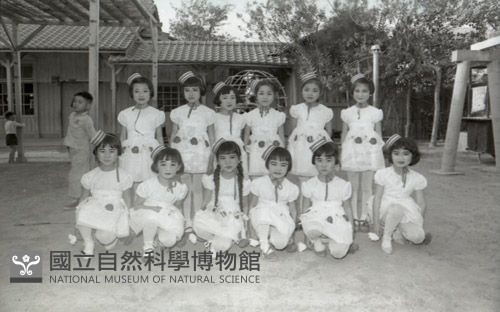 1950至2006年臺灣常民生活藏品圖，第1張