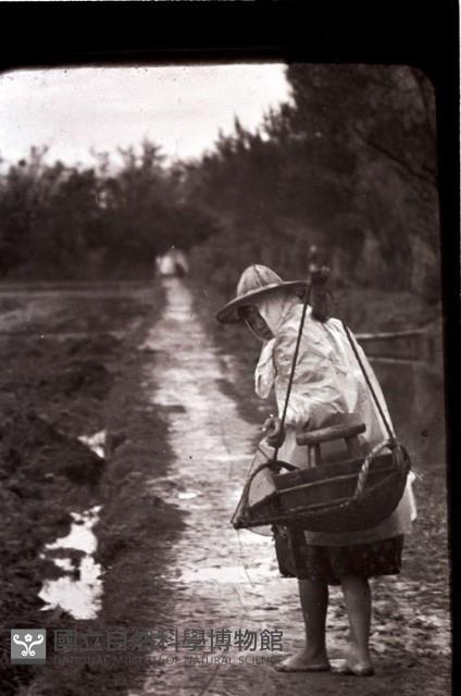 1950至2006年臺灣常民生活藏品圖，第1張