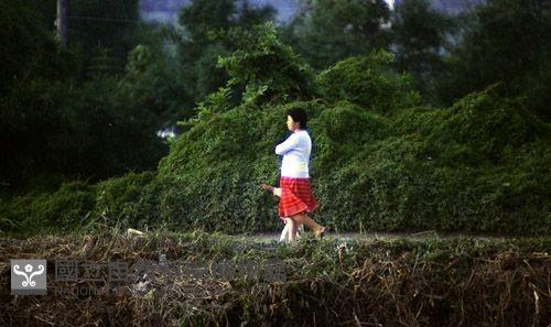 1950至2006年臺灣常民生活藏品圖，第1張