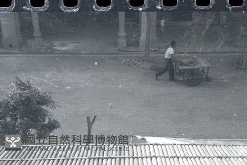 1950至2006年臺灣常民生活藏品圖，第1張
