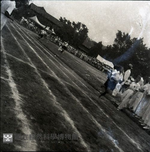 1950至2006年臺灣常民生活藏品圖，第1張