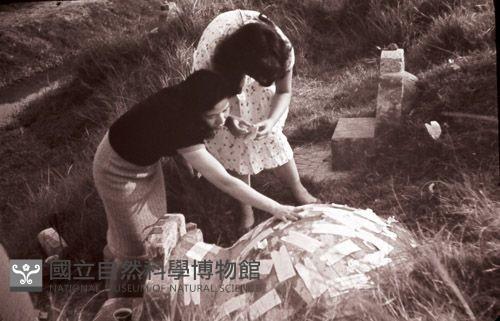 1950至2006年臺灣常民生活藏品圖，第1張