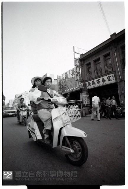 1950至2006年臺灣常民生活藏品圖，第1張