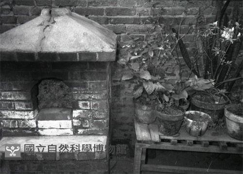 1950至2006年臺灣常民生活藏品圖，第1張