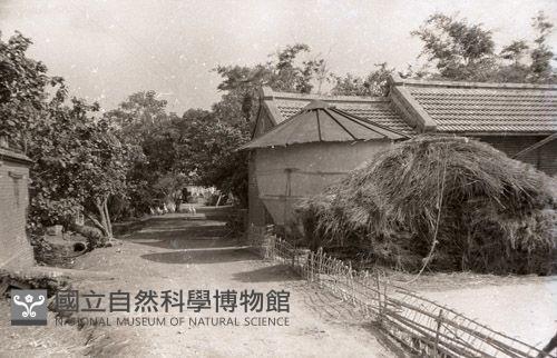 1950至2006年臺灣常民生活藏品圖，第1張