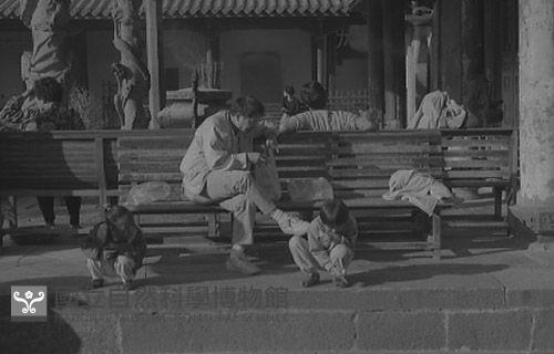 1950至2006年臺灣常民生活藏品圖，第1張