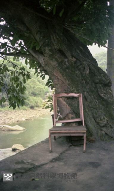 1950至2006年臺灣常民生活藏品圖，第1張