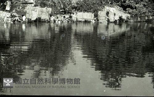 1950至2006年臺灣常民生活 藏品圖，第1張