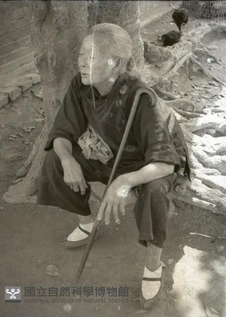 1950至2006年台灣常民生活藏品圖，第1張