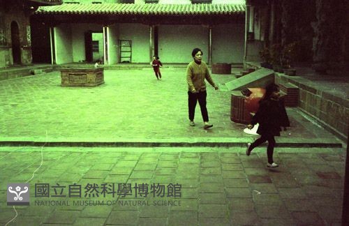 1950至2006年臺灣常民生活藏品圖，第1張