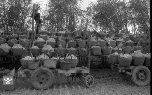 1950至2006年臺灣常民生活藏品圖，第1張
