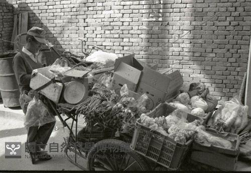 1950至2006年臺灣常民生活藏品圖，第1張
