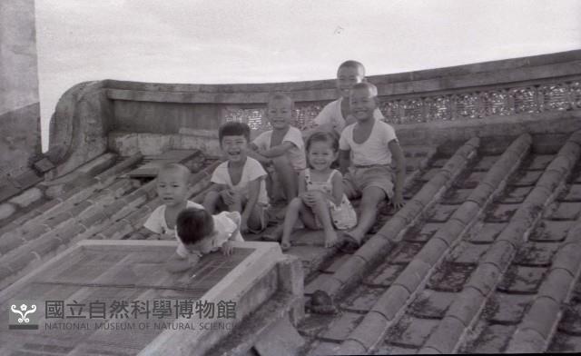 1950至2006年臺灣常民生活藏品圖，第1張