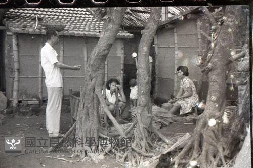 1950至2006年臺灣常民生活藏品圖，第1張
