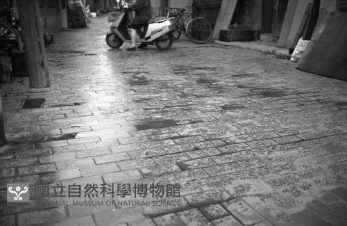 1950至2006年臺灣常民生活藏品圖，第1張