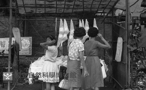 1950至2006年臺灣常民生活藏品圖，第1張