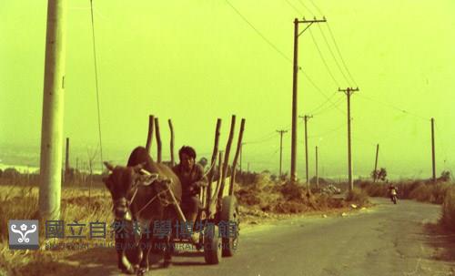 1950至2006年臺灣常民生活藏品圖，第1張