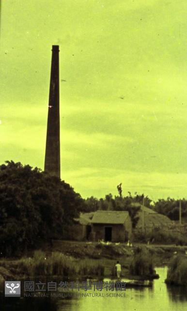 1950至2006年臺灣常民生活藏品圖，第1張