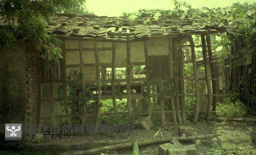 1950至2006年臺灣常民生活藏品圖，第1張