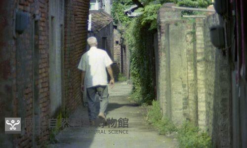 1950至2006年臺灣常民生活藏品圖，第1張