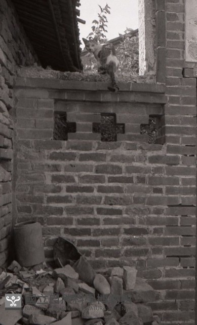 1950至2006年臺灣常民生活藏品圖，第1張