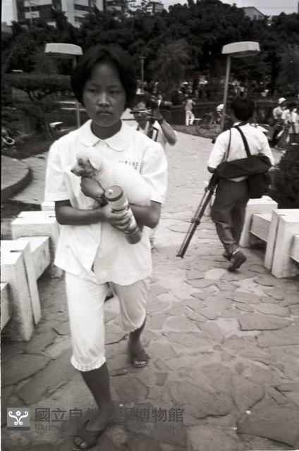 1950至2006年臺灣常民生活藏品圖，第1張