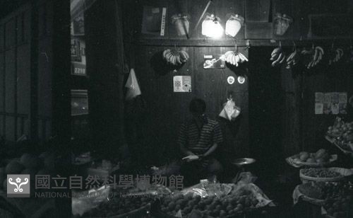 1950至2006年臺灣常民生活藏品圖，第1張