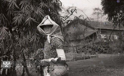 1950至2006年臺灣常民生活 藏品圖，第1張