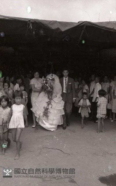 1950至2006年臺灣常民生活藏品圖，第1張