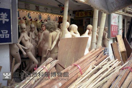 1950至2006年臺灣常民生活藏品圖，第1張