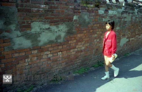 Accession Number:MP2007010076 Collection Image