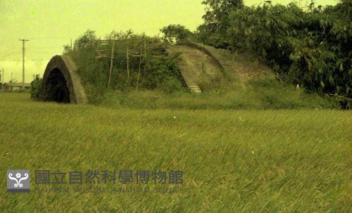 1950至2006年臺灣常民生活藏品圖，第1張