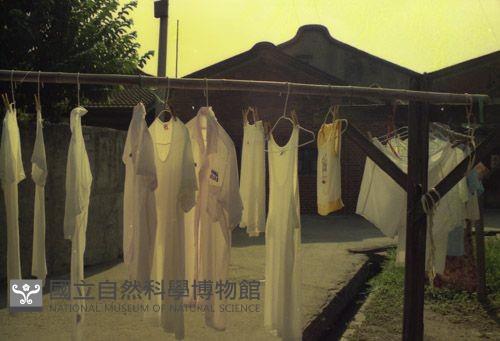 1950至2006年臺灣常民生活藏品圖，第1張
