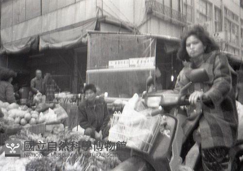 1950至2006年臺灣常民生活藏品圖，第1張