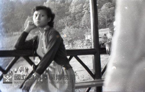 1950至2006年臺灣常民生活藏品圖，第1張