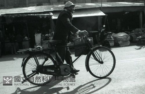 1950至2006年臺灣常民生活藏品圖，第1張