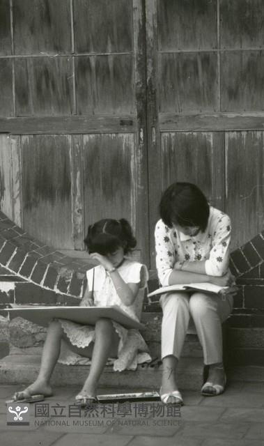 1950至2006年臺灣常民生活藏品圖，第1張