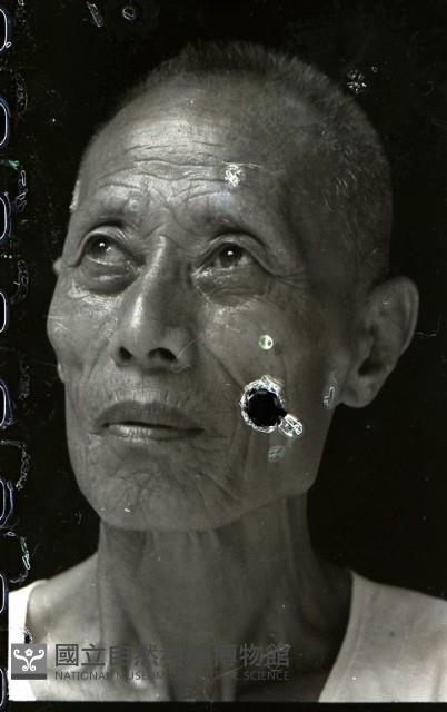 1950至2006年臺灣常民生活藏品圖，第1張